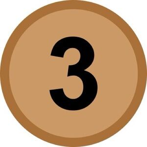 Car Freshie 3 pack !